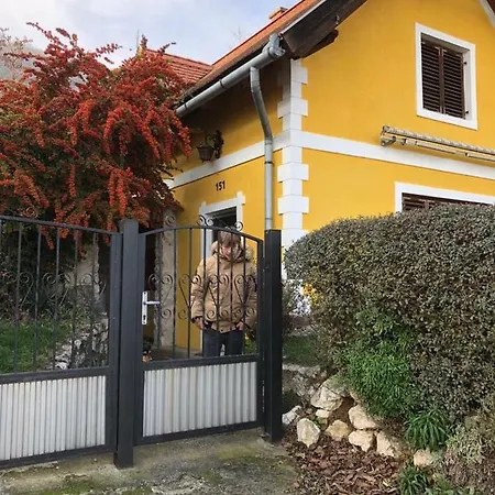 Haus Am Weinberg Tatil Evi *